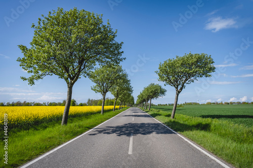 Empty countryside highway