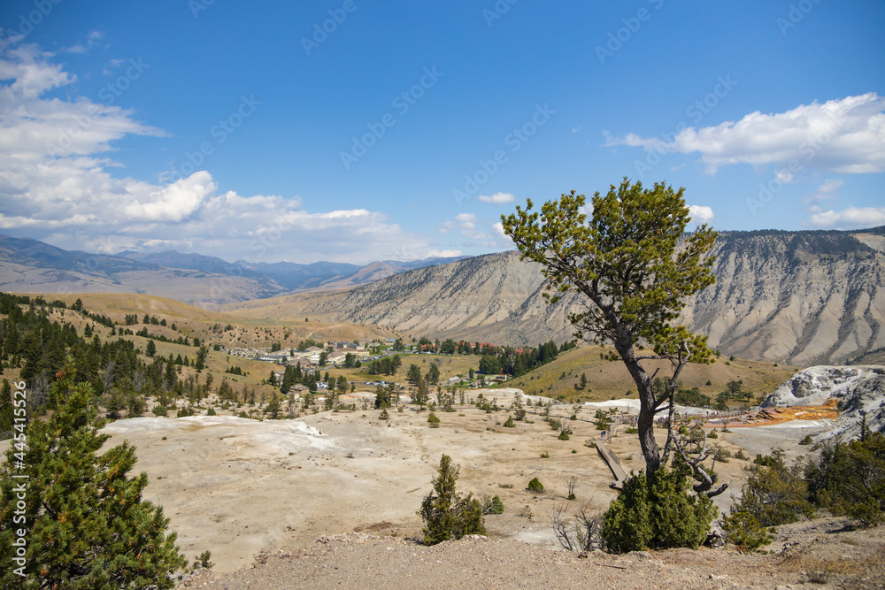 Lamar Valley, Yellowstone National Park, Wyoming, USA