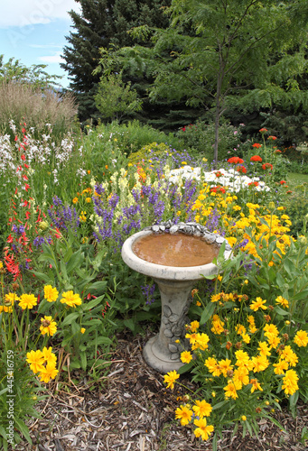 beautiful yard garden with colorful flowers and a bird bath