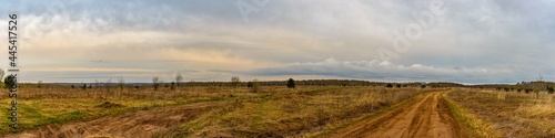Panorama of a dirt road passing through the field. In the background there is a forest and an overcast sky in clouds with pastel shades