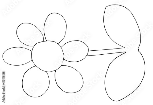 お花