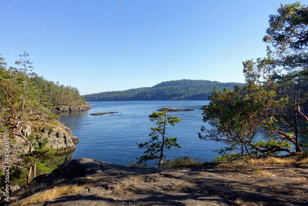 A view of a beautiful empty bay surrounded by trees and calm ocean with the trees reflected on the water, along the sunshine coast, British Columbia, Canada
