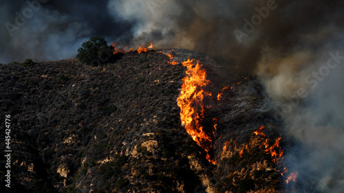 Saddleranch Fire Blaze California Wildfire Los Angeles 