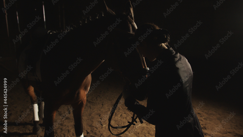 Horse owner touching her face to the dark bay horse. Expressing her love for the stallion. Holding its lead rope standing on the sandy ground during the nighttime. Love for horses. Horse owner touching her face to the dark bay horse. Expressing her love for the stallion. Holding its lead rope standing on the sandy ground during the nighttime. Love for horses.