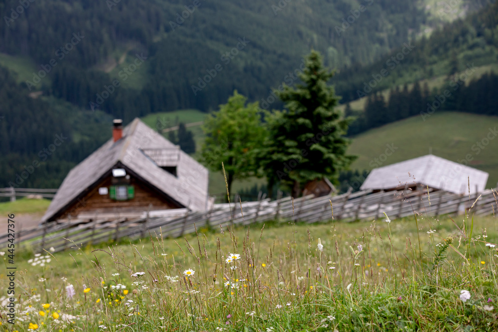 Alpine hut named Tyrnauer Alm near mountain Rote Wand in Styria, Austria