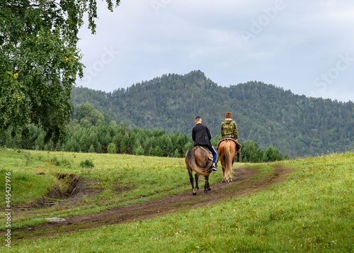 Tourists in the mountains on horses in the Altai, Russia