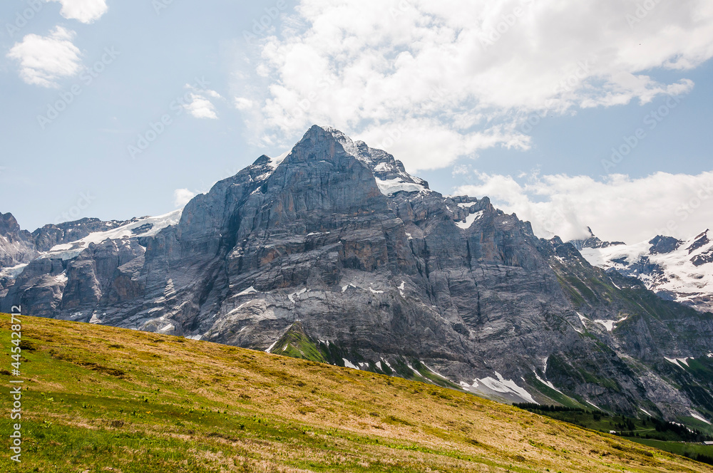 Grindelwald, Wetterhorn, Grosse Scheidegg, Wellhorn, Gistellihorn, Bärglistock, Oberer Grindelwaldgletscher, First, Berner Oberland, Alpen, Wanderweg, Höhenweg, Sommer, Schweiz Grindelwald, Wetterhorn, Grosse Scheidegg, Wellhorn, Gistellihorn, Bärglistock, Oberer Grindelwaldgletscher, First, Berner Oberland, Alpen, Wanderweg, Höhenweg, Sommer, Schweiz