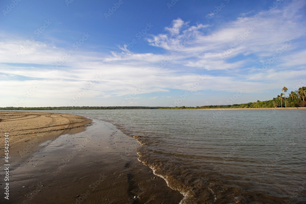 Obraz premium Estuario