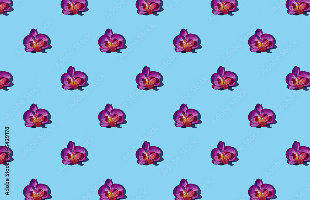 Pattern of purple orchid flower on blue background Pattern of purple orchid flower on blue background