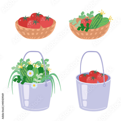 Set of vegetables. Bucket with cucumbers and herbs basket with tomatoes. Harvesting. Vector illustration isolated on white background.