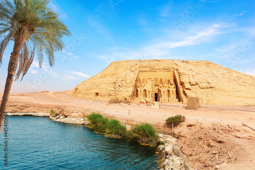 The palm on the bank of the Nile river in Abu Simbel Temple, Egypt photo