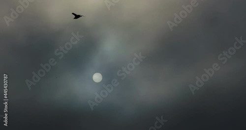 Sun covered by black clouds of smoke. Sunset over clouds. Smoke, fog.