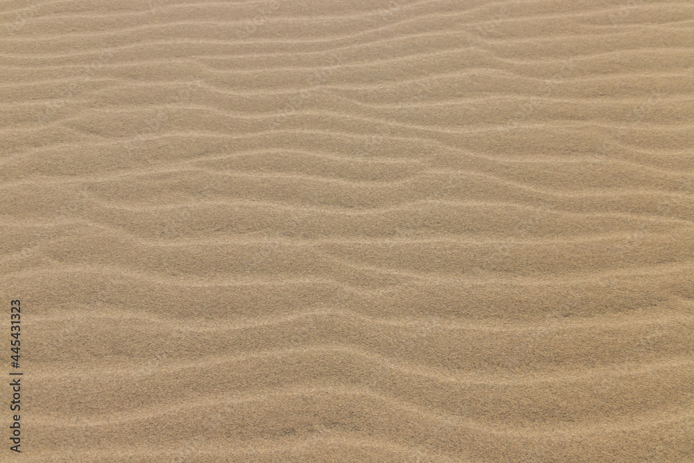 Beautiful Ripple marks on droughty Sand Dunes in Desert Area (sand waves). In geology, ripple marks are sedimentary structures and indicate agitation by water (current or waves) or, wind Beautiful Ripple marks on droughty Sand Dunes in Desert Area (sand waves). In geology, ripple marks are sedimentary structures and indicate agitation by water (current or waves) or, wind