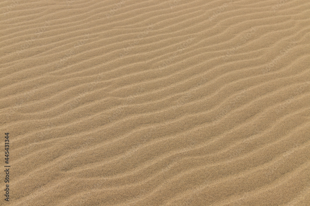 Beautiful Ripple marks on droughty Sand Dunes in Desert Area (sand waves). In geology, ripple marks are sedimentary structures and indicate agitation by water (current or waves) or, wind Beautiful Ripple marks on droughty Sand Dunes in Desert Area (sand waves). In geology, ripple marks are sedimentary structures and indicate agitation by water (current or waves) or, wind