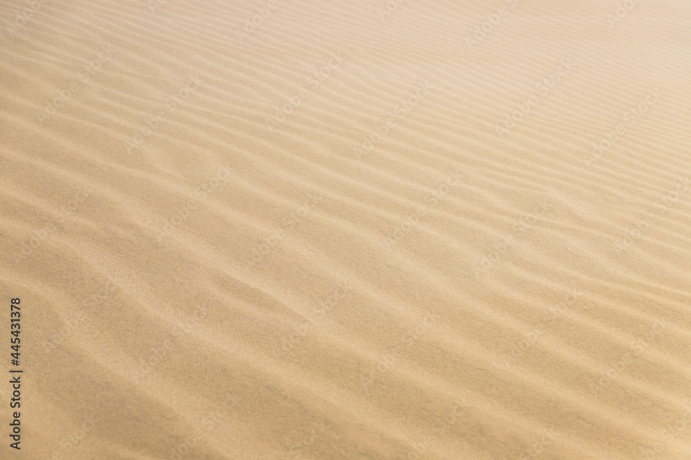 Beautiful Ripple marks on droughty Sand Dunes in Desert Area (sand waves). In geology, ripple marks are sedimentary structures and indicate agitation by water (current or waves) or, wind Beautiful Ripple marks on droughty Sand Dunes in Desert Area (sand waves). In geology, ripple marks are sedimentary structures and indicate agitation by water (current or waves) or, wind