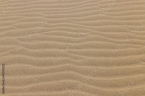 Beautiful Ripple marks on droughty Sand Dunes in Desert Area (sand waves). In geology, ripple marks are sedimentary structures and indicate agitation by water (current or waves) or, wind