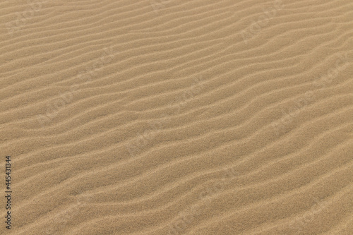 Beautiful Ripple marks on droughty Sand Dunes in Desert Area (sand waves). In geology, ripple marks are sedimentary structures and indicate agitation by water (current or waves) or, wind