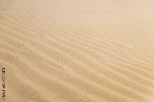 Beautiful Ripple marks on droughty Sand Dunes in Desert Area (sand waves). In geology, ripple marks are sedimentary structures and indicate agitation by water (current or waves) or, wind