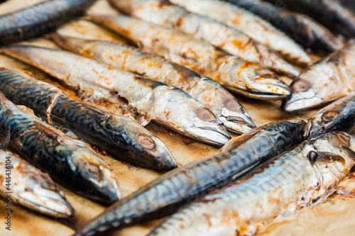 A lot of mackerel lies on parchment paper and is grilled.