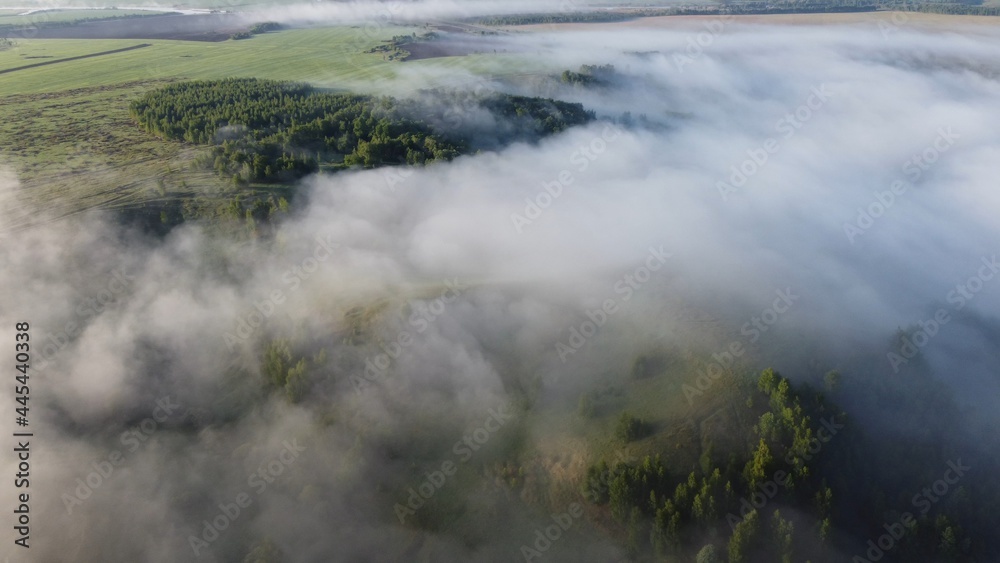 fog over the river