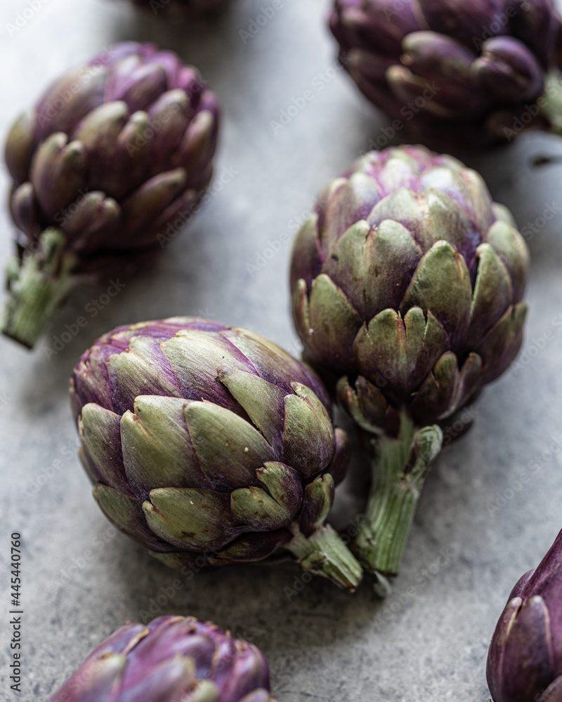 Purple Baby Artichoke 6 Purple Baby Artichoke 6