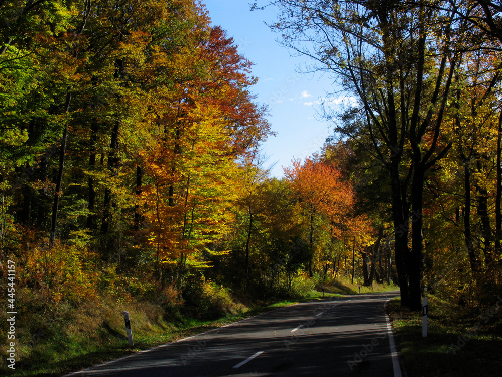 Bunte Blaetter verschoenern den Herbst.
Colorful leaves brighten up the autumn. Bunte Blaetter verschoenern den Herbst.
Colorful leaves brighten up the autumn.
