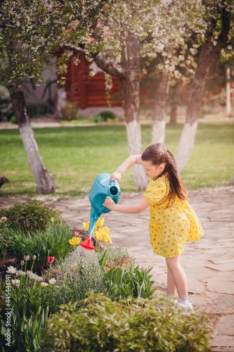 a girl in a yellow dress is diligently watering tulips from a watering can, water pours out of the watering can and sprinkles drops glistening in the sun in the garden on a sunny warm day. 