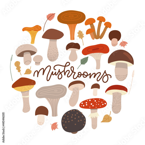 Mushrooms collection isolated on white in round shape with hand lettering word. Cep, chanterelle, honey agaric, russula, oyster mushrooms,champignon, shiitake, black truffle. Flat vector illustration.