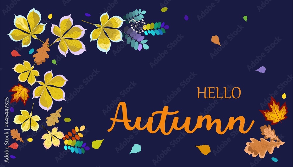 Autumn background design template with oak, chestnut and maple leaves. Hello fall background with Red, orange and yellow fall leaves and abstract shapes. Flat style vector illustration