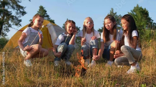 group of happy kids roasting marshmallows on camp fire.