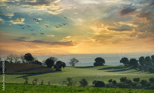 Andalusian rural landscape with crops among holm oaks in a sunset with dramatic sky