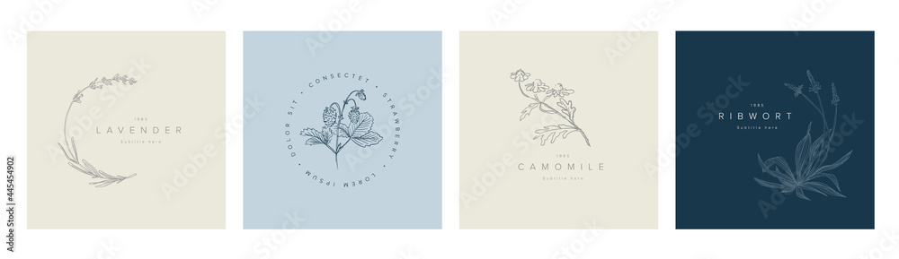 Minimalist floral emblem title frames collection