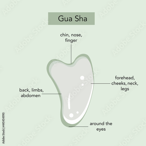 Information about the stone Gua sha. facial massage. Vector graphics