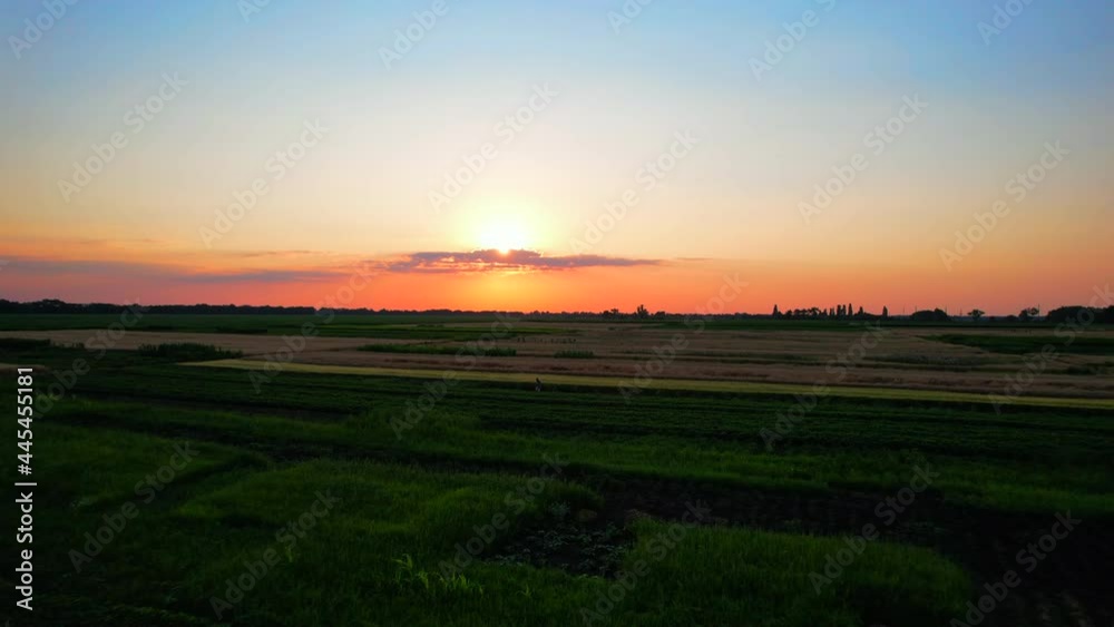 Beautiful sunset over a green field. Flying between trees. Beautiful sunset over a green field. Flying between trees.