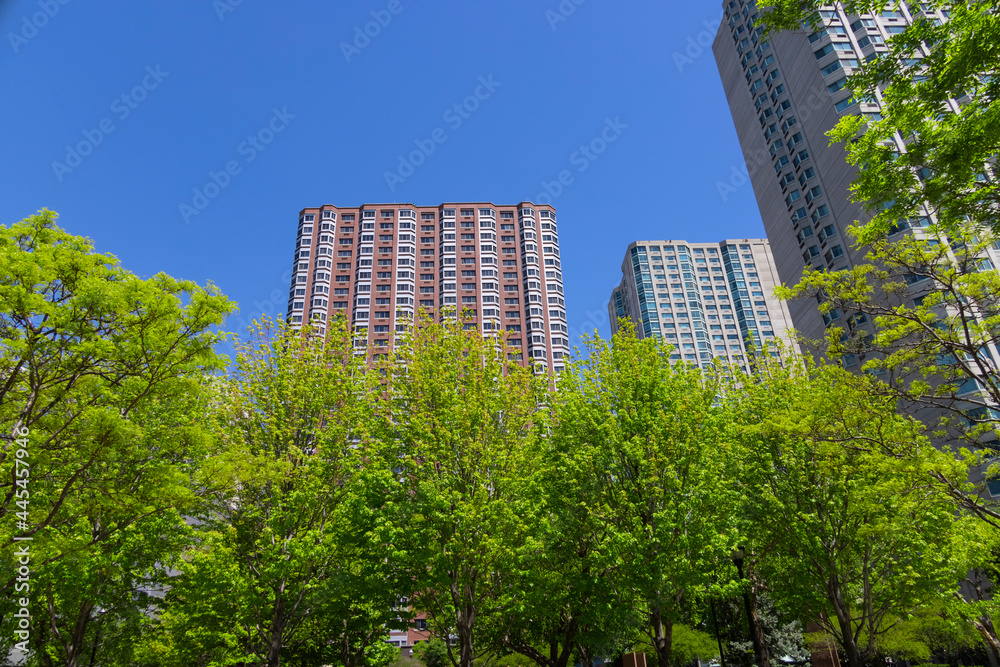 Fresh green trees grow among Luxury high-rise apartment in springtime at New Port Jersey City.