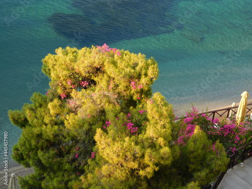 A beach with clear water and trees, on the coast of the island of Poros, Greece © Konstantinos