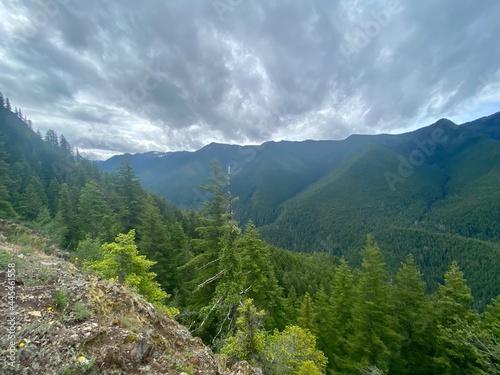 Lake in the mountains - Lake crescent 