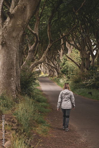 Foto Girl walking on the road through the Dark Hedges tree tunnel