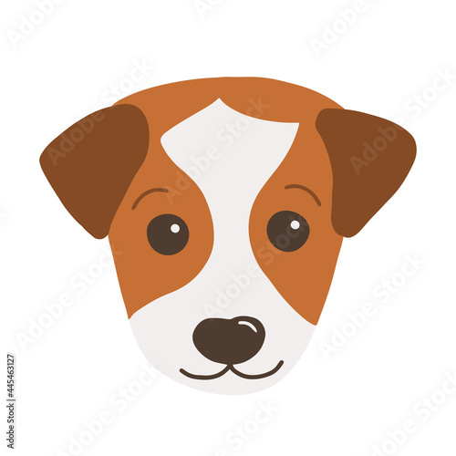 Little jack russel terrier head. Cartoon style. Vector isolated on white background