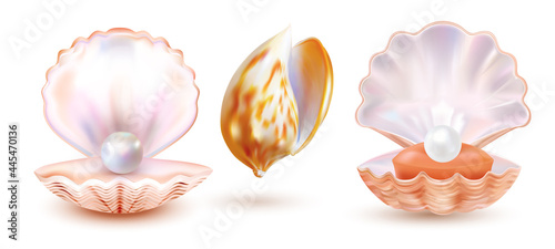 Pearl shell isolated on white background. Valuable oyster seashhel. Realistic expensive art. Vector illustration.