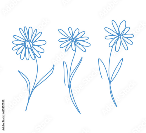 Flower collection in doodle style. Camomiles with editable continuous stroke. Floral design elements.