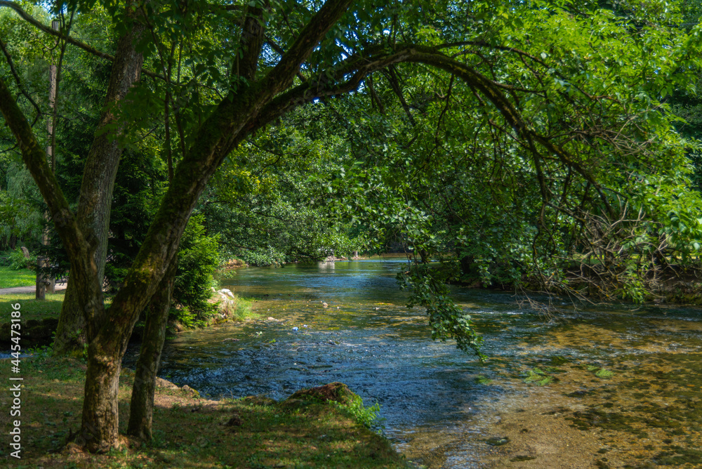 Naklejka premium Vrelo Bosne nature green park in Sarajevo with water and ducks 