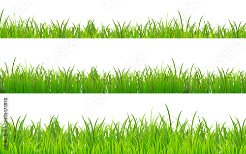 Green Grass borders set isolated on white background. Summer lawn collection. Tufts of grass in line. Meadow panorama for poster. Herbs elements for your design. Vector illustration EPS10