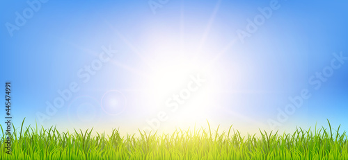 Beautiful spring or summer background with green grass and sunrise landscape. Field under the sunlight. Realistic wallpaper for banner, poster, flyer. Vector illustration EPS10