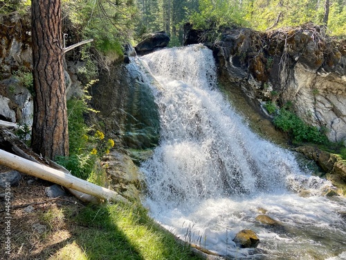 waterfall in the forest