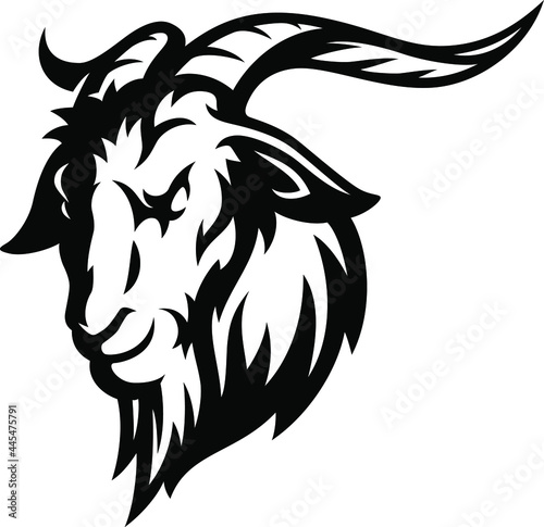 Head of Aggressive Male Goat 