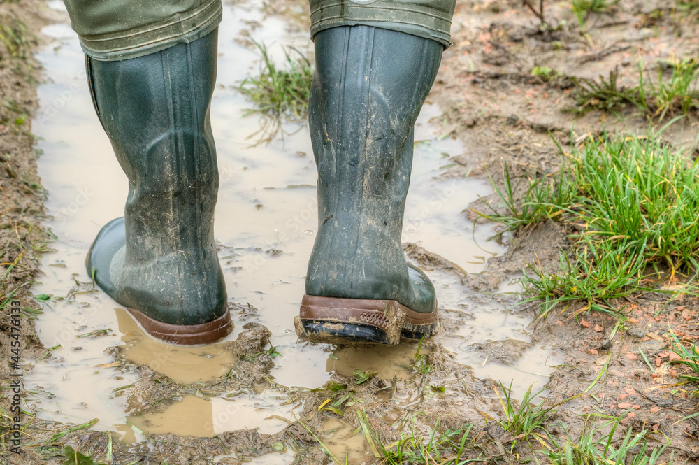 With rubber boots through the mud. Farmer goes with his rubber boots in the  muddy lane of his tractor across the field. View from behind. Stock Photo |  Adobe Stock
