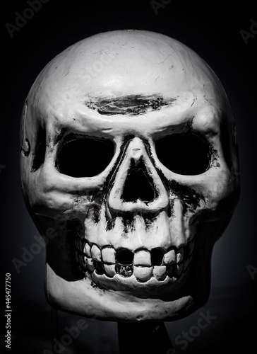 skull on black