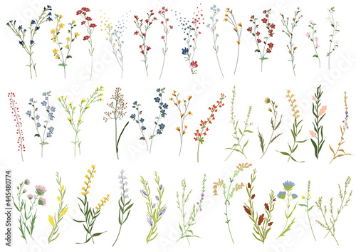 Canvas Print Big set botanic blossom floral elements