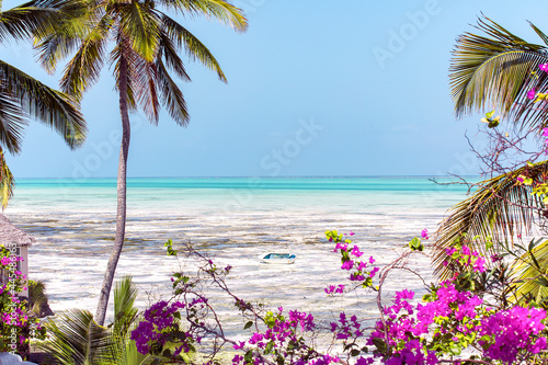 Tropical beach landscape with turquoise water and palm trees.